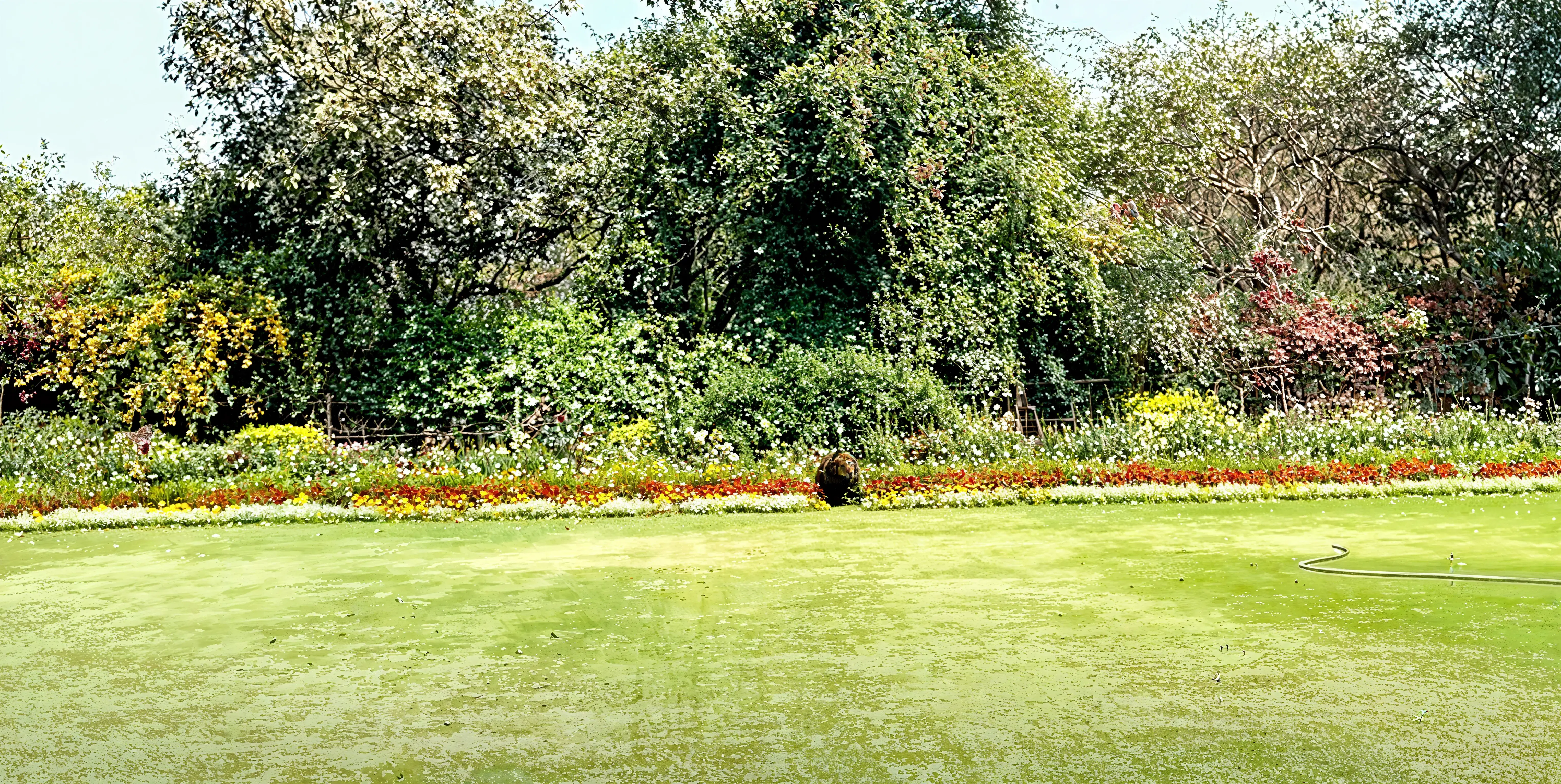 Maitreyi College Campus photo 15